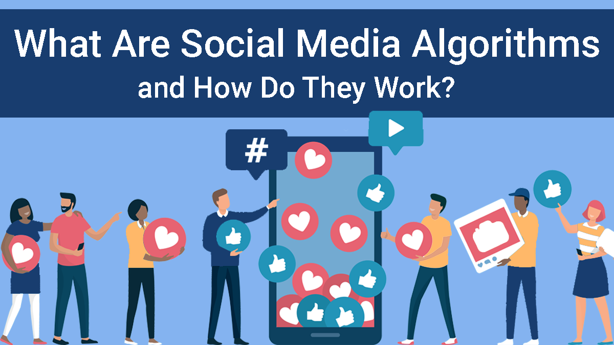 social media algorithms